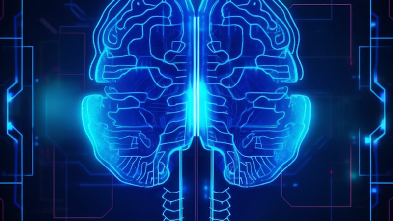企业智能算法应用场景解析：如何精准匹配需求
